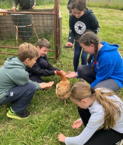Oaks Class visit Travellers Rest Farm